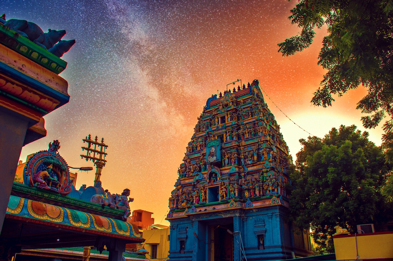 AFFASCINANTE INDIA, IL TRINGOLO D'ORO